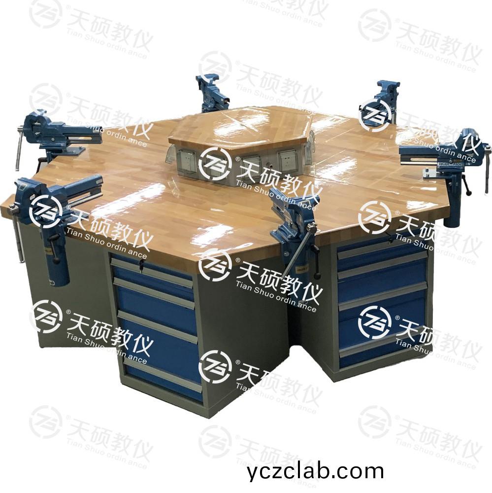 TSBTQG-3型(xing) 鉗工技(ji)能(neng)實(shi)訓(xun)平檯（六角(jiao)六工(gong)位）